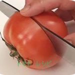 フレッシュトマト（生トマト）パスタ クックパッドで人気１位　つくれぽ１００以上